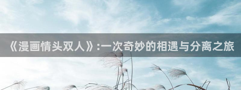 韩漫资源网：《漫画情头双人》:一次奇妙的相遇与分离之旅