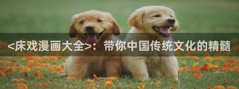 韩漫阅读免费：<床戏漫画大全>：带你中国传统文化的精髓