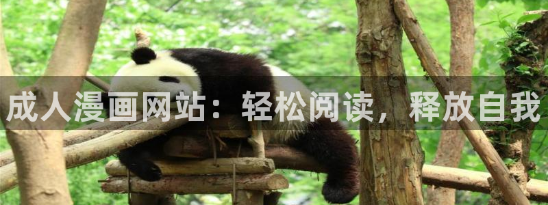 妄想的边界韩漫在线观看：成人漫画网站：轻松阅读，释放自我