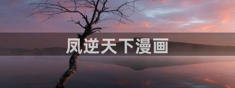 男男网站无删减漫画韩漫：凤逆天下漫画